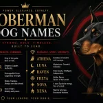 names for doberman
