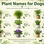 Plant names for Dogs
